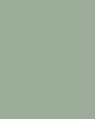 Цвет окна зелёный Чартвелл 49246-011 